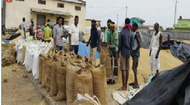 କାଳବୈଶାଖୀ: ମଣ୍ଡିରେ ଚାଷୀଙ୍କ ଅଡ଼ୁଆ ବଢ଼ୁଛି