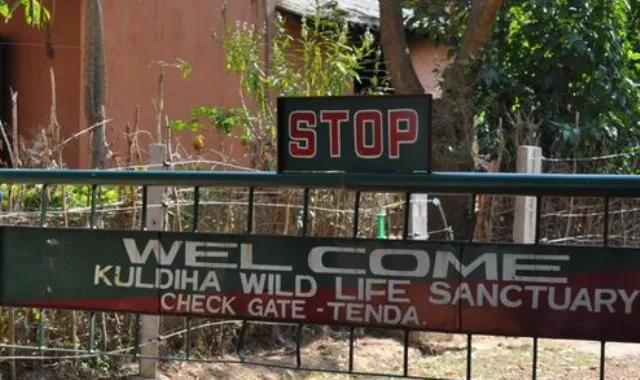 କୁଲଡିହାରେ ହାତୀକୁ ମ‌ାରି ଦାନ୍ତ ତାଡ଼ି ନେବା ଘଟଣା, ଦୁଇ ବନ କର୍ମଚାରୀ ନିଲମ୍ବିତ