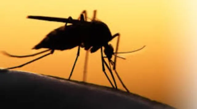 ୨୪ରେ ଏସିଆ ପ୍ୟାସିଫିକ୍ ଲିଡର୍ସ ମ୍ୟାଲେରିଆ ନିରାକରଣ ସମ୍ମିଳନୀ