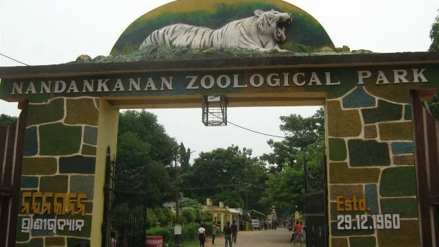 ନନ୍ଦନକାନନ ଆସିବ ଚିତା