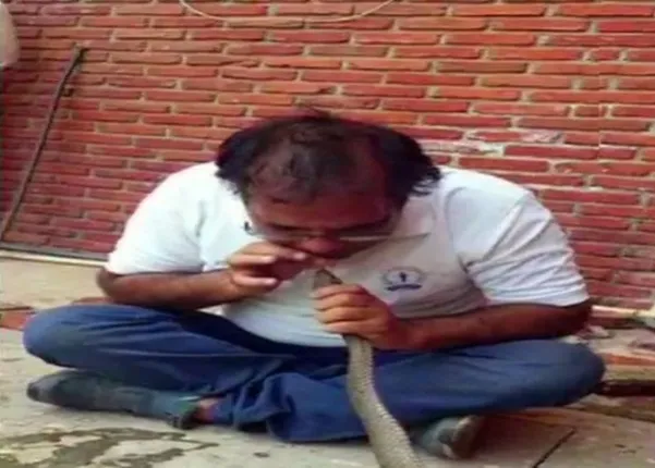 ନିଜ ଜୀବନକୁ ବାଜି ଲଗାଇଲେ ଆୟକର ବିଭାଗ ଅଧିକାରୀ, ପାଟିରେ ପାଣି ଭର୍ତ୍ତି କରି ଏଭଳି ବଞ୍ଚାଇଲେ ସାପର ଜୀବନ