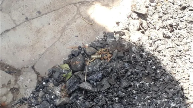 ଝାରସୁଗୁଡ଼ା: ଗୁଳିଚୋଟରେ ବ୍ୟବସାୟୀ ଆହତ