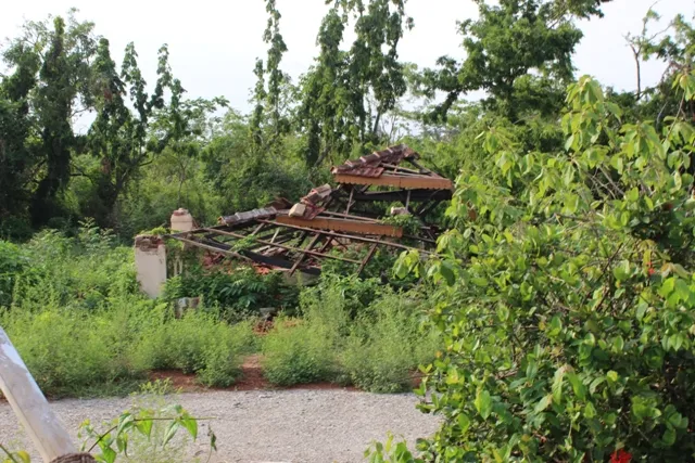 କଳିଙ୍ଗ ଷ୍ଟୁଡିଓ ଆଉ ମୁଣ୍ଡ ଟେକି ପାରିବ ତ?