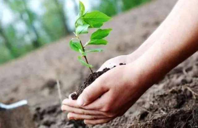 ପ୍ରେରଣା ଗ୍ରିନ୍‌ ଆର୍ମି ପକ୍ଷରୁ ‘ପୃଥିବୀ ବଞ୍ଚାଅ’ ଅଭିଯାନ, ନୂଆବର୍ଷରେ ପ୍ରତ୍ୟେକ ଓଡ଼ିଶାବାସୀଙ୍କୁ ଗଛ ଲଗାଇବାକୁ ପରାମର୍ଶ