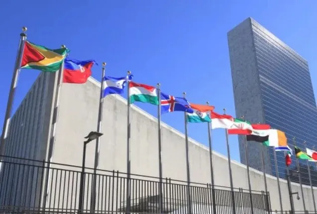 ୟୁଏନ୍‌ଏସ୍‌ସି ଅସ୍ଥାୟୀ ସଦସ୍ୟତା:ଭାରତର ବଡ଼ କୂଟନୈତିକ ବିଜୟ