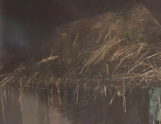 ଭଦ୍ରକ: ଅଗ୍ନିକାଣ୍ଡରେ ଜଳିଗଲା ୪ ବଖରା ଘର