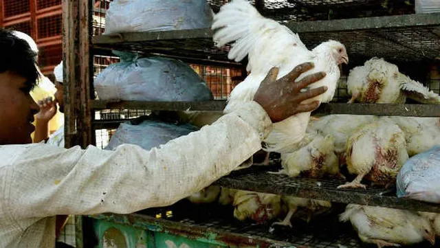  କୁକୁଡା ପର ଓ ଅଣ୍ଟାରେ ବନ୍ଧା ଥିବା ତାବିଜରୁ ଏପରି ଖୋଲିଲା ମହିଳାଙ୍କ ହତ୍ୟାର ରାଜ୍‌ 