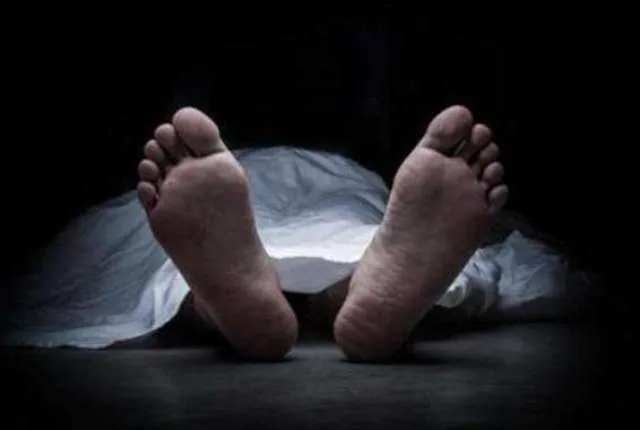 ରାତିରେ ଶୋଇଥିଲେ, ସାପ କାମୁଡ଼ିବାରୁ ୨ ମୃତ