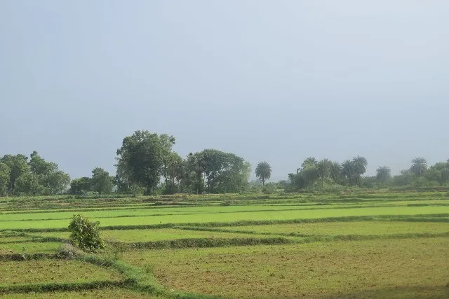 ଶିଳ୍ପ, ଖଣି ଗିଳିଦେଲେ ଲ‌କ୍ଷେ ଏକର ଚାଷଜମି