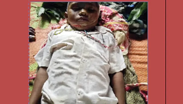 ବିଷଧର ସାପ କାମୁଡ଼ାରେ ୩ ମୃତ