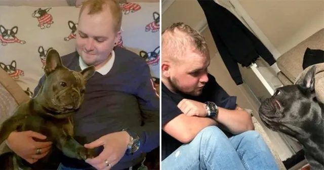 କର୍କଟ ପୀଡିତ ଥିବା ମାଲିକ ମୃତ୍ୟୁର ୧୫ ମିନିଟ୍‌ ପରେ ହେଲା ପୋଷା କୁକୁରର ମୃତ୍ୟୁ