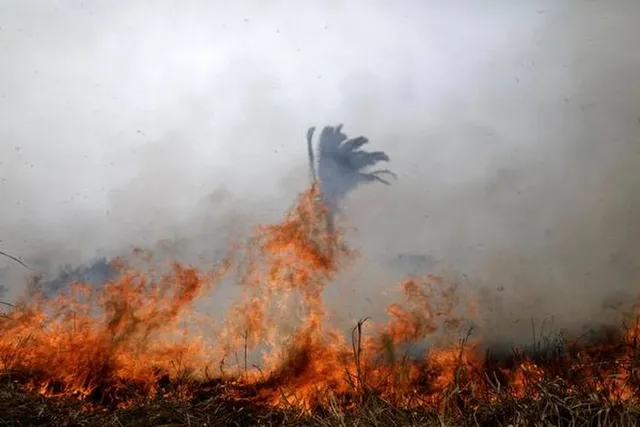 ଆମାଜନ୍‌ ନିଆଁ ଅନିୟନ୍ତ୍ରିତ, ସହଯୋଗର ହାତ ବଢ଼ାଇଲା ଜି-୭