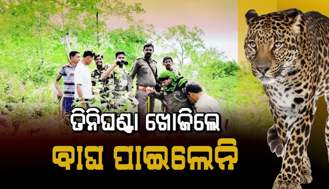 ତିନିଘଣ୍ଟା ଖୋଜିଲେ, ବାଘ ପାଇଲେନି