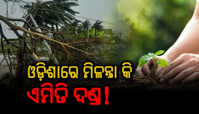 ଏମିତି ଏକ ଦଣ୍ଡ ଓଡ଼ିଶାରେ ଲାଗୁ ହୁଅନ୍ତା କି ? ଛାତ୍ରଛାତ୍ରୀଙ୍କ ଦଣ୍ଡ ପାଇଁ ସବୁଜ ପାଲଟିଛି ବିଶ୍ୱବିଦ୍ୟାଳୟ 