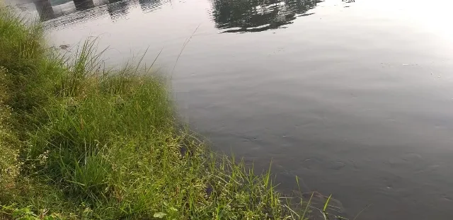 ପୁରୀ କେନାଲରୁ ଗୁରୁତର ଯୁବକ ଉଦ୍ଧାର