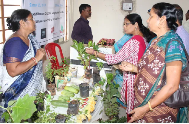 ବିଶ୍ବ କିଚେନ୍‌ ଗାର୍ଡେନ ଦିବସ: ଲୋକଙ୍କୁ ସଚେତନ କଲା ‘କିଚେନ୍‌ ଗାର୍ଡେନ୍‌ସ ଆସୋସିଏସନ୍‌’