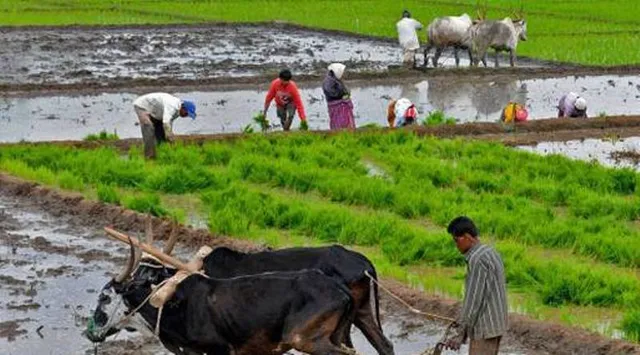 ଚାଷୀଙ୍କୁ ମୋହରା କରି କୋଟି କୋଟି ଟଙ୍କା ଚଳୁ, ଯାଜପୁର ଉଠା ଜଳସେଚନ ଡିଭିଜନରେ ଘୋଟାଲା