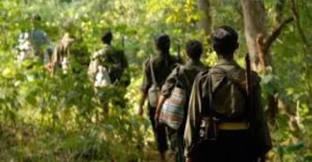 ନୂଆପଡ଼ା ଜିଲ୍ଲାରେ ପୁଣି ମାଓବାଦୀ ସକ୍ରିୟ : କମ୍ବିଂ ବେଳେ ମାଓ କ୍ୟାମ୍ପ ଠାବ