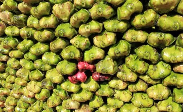 ଡିହାଇଡ୍ରେସନ୍‌, କେଶଜନିତ ସମସ୍ୟା ଦୂର କରିଥାଏ ପାଣି ସିଙ୍ଗଡା!