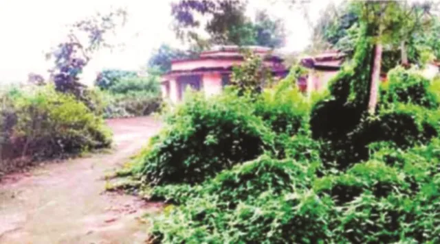 ଭୂତକୋଠି ପାଲଟିଛି ତହସିଲଦାରଙ୍କ ବାସଭବନ, କବାଟ, ଝରକା ତାଡ଼ି ନେଲେଣି ଦୁର୍ବୃତ୍ତ