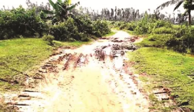 ବାଲିପୋଖରୀ-କୋଠସାହି ରାସ୍ତା ଶୋଚନୀୟ : ପଙ୍କ, କାଦୁଅରେ ଯାତାୟାତ କରୁଛନ୍ତି ଲୋକେ