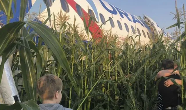 ପକ୍ଷୀ ଝାଙ୍କ ସହ ଧକ୍କା ଖାଇ ମକ୍କା ବିଲରେ ଜରୁରୀ ଅବତରଣ କଲା ରୁଷୀୟ ବିମାନ; ୨୩ ଯାତ୍ରୀ ଆହତ