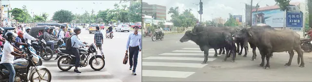 ଆଇନ ଭାଙ୍ଗିଲେ ୧୦ ଗୁଣ ତଣ୍ଡ ହେ‌ଲେ ଚେତା ପଶିଲା ନାହିଁ,  ଆଉ କେବେ ଚେତିବେ?