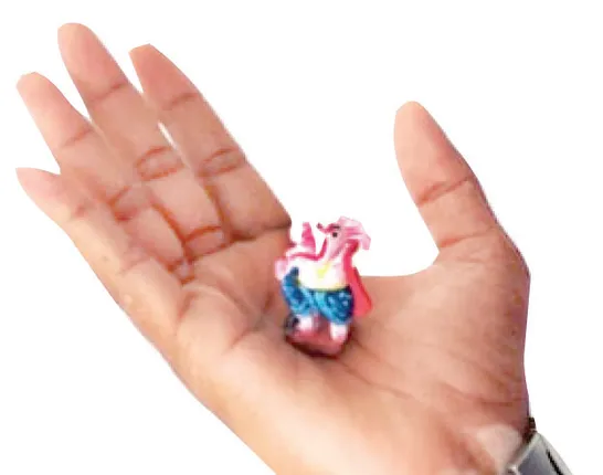 ୧ ଇଞ୍ଚରୁ କମ୍‌ ଉଚ୍ଚର ଗଣେଶ ଗଢ଼ିଲେ ସ୍ବାଧୀନ