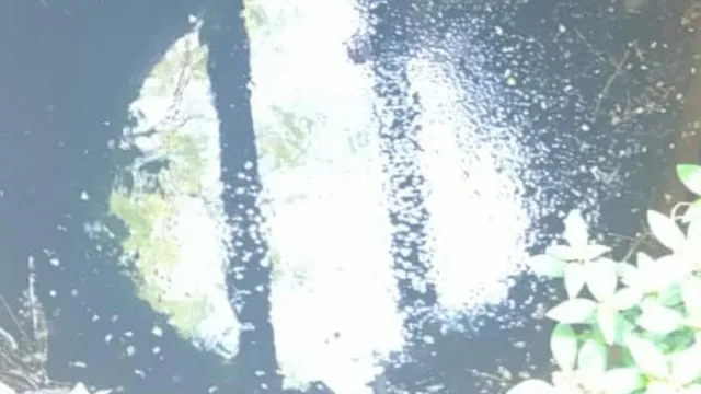 ପରିତ୍ୟକ୍ତ କୂଅରେ ଭାସୁଛି ଯୁବକଙ୍କ ଶବ; ହତ୍ୟା ସନ୍ଦେହ