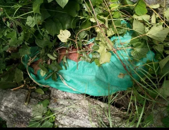 ଜଙ୍ଗଲରୁ ଦମ୍ପତ୍ତିଙ୍କ ମୃତଦେହ ଉଦ୍ଧାର: ମୃତ୍ୟୁ ରହସ୍ୟ ଘେରରେ, ହତ୍ୟା ସନ୍ଦେହ