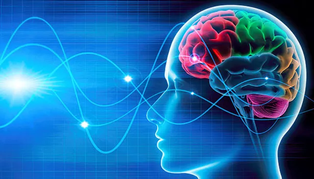 ଭାରତୀୟମାନଙ୍କ ମସ୍ତିଷ୍କର ଆକାର ପାଶ୍ବାତ୍ୟ ରାଷ୍ଟର ଲୋକଙ୍କଠାରୁ ସାମାନ୍ୟ ଛୋଟ : ଗବେଷଣା