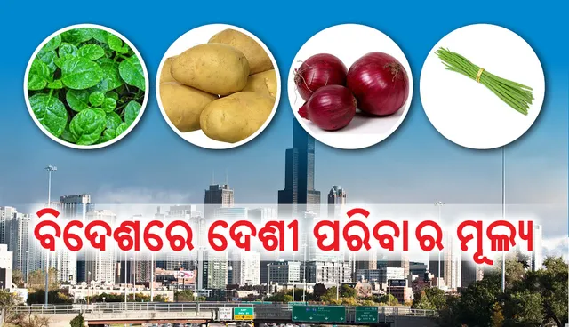 ଆପଣ ଖାଉଥିବା ପରିବା ଆମେରିକାରେ କେତେ ଟଙ୍କାରେ ମିଳେ ଜାଣନ୍ତୁ