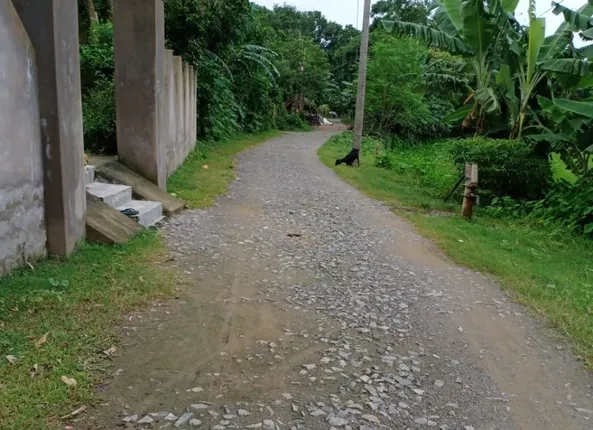 ଜାରକା ଆର୍‌ଡି ଡିଭିଜନରେ ମହାଦୁର୍ନୀତି : ନିର୍ମାଣ ଶେଷ ପୂର୍ବରୁ ମରାମତି