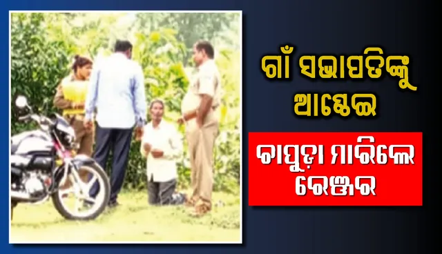 ରେଞ୍ଜରଙ୍କ ଦମନ ନୀତି! ଗାଁ ସଭାପତିଙ୍କୁ ଆଣ୍ଠେଇ ଚାପୁଡ଼ା ମାରିଲେ