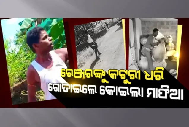 ଚୋରା କାଠ ଜବତ କରିବାକୁ ଯାଇଥିଲେ ରେଞ୍ଜର, ଆକ୍ରମଣ କଲେ କୋଇଲା ମାଫିଆ, ବନ ବିଭାଗର ୪ କର୍ମଚାରୀ ଆହତ