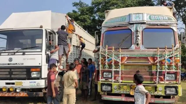 ଢେଙ୍କାନାଳ ଜିଲ୍ଲାର ନିହଲପ୍ରସାଦରେ ବେଆଇନ୍ ଚାଲାଣ ବେଳେ ୬ଟି ଗୋରୁ ବୋଝେଇ ଗାଡ଼ି ଜବତ, ୫ ଅଟକ