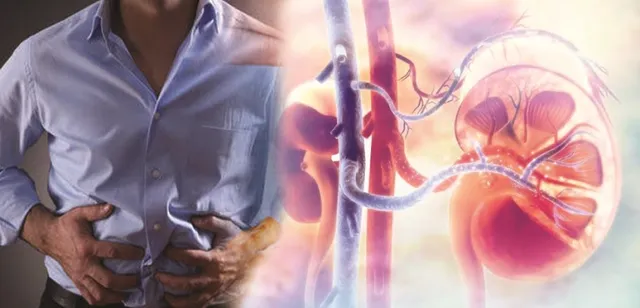 କିଡ୍‌ନି ନେଉଛି ଜୀବନ, ଜଣକ ପରେ ଜଣେ ଗାଁ ଛାଡ଼ୁଛନ୍ତି