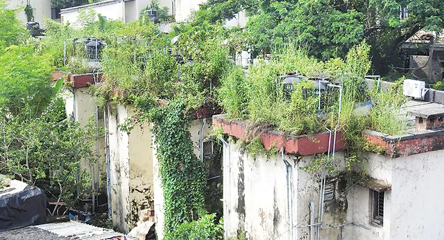 ବିପଦସଂକୁଳ ମାଳି କଲୋନି କୋଠା, ତଳିଆ କର୍ମଚାରୀ ବୋଲି ଅଣଦେଖା!