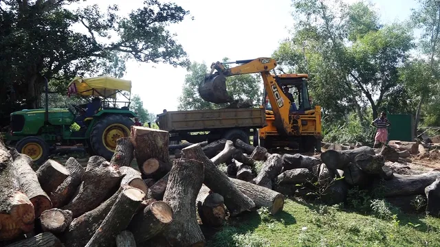 ଚାନ୍ଦବାଲିରେ ମହିଳା ଡିଏଫଓଙ୍କ ବଡ଼ ପଦକ୍ଷେପ : ବେଆଇନ କରତ କଳ ଉପରେ ଚଢ଼ଉ, ୧୦ ଟ୍ରାକ୍ଟର କାଠ ଓ ଯନ୍ତ୍ରାଂଶ ଜବତ