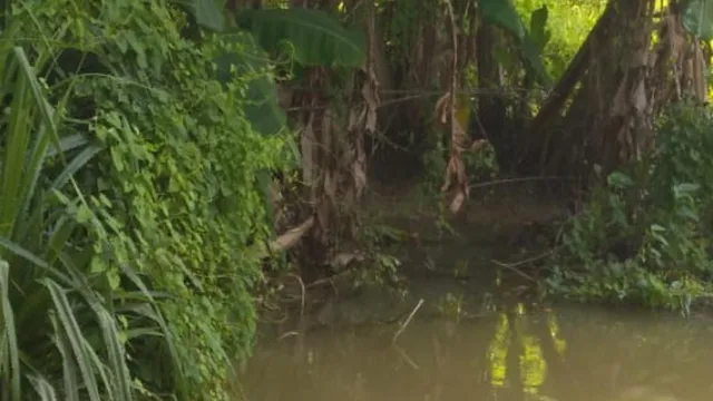 ବାଲେଶ୍ୱର: ଉତା ପୋଖରୀରୁ ଯୁବକଙ୍କ ଶବ ଉଦ୍ଧାର