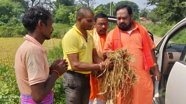 ଅଦିନିଆ ବର୍ଷାରେ ଚାଷୀଙ୍କ ଧାନ ଗଜା ପରିଦର୍ଶନ କଲେ କଳାହାଣ୍ଡି ସାଂସଦ ଓ ରାଜ୍ୟ ବିଜେପି ସଭାପତି ବସନ୍ତ ପଣ୍ଡା