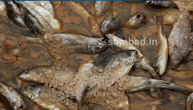 ଓଡ଼ିଶାରେ କେଉଁ ଶୁଖୁଆର ରହିଛି ଅଧିକ ଚାହିଦା ? କେମିତି ପ୍ରସ୍ତୁତ ହୁଏ ସୁଆଦିଆ ଶୁଖୁଆ ଜାଣନ୍ତୁ