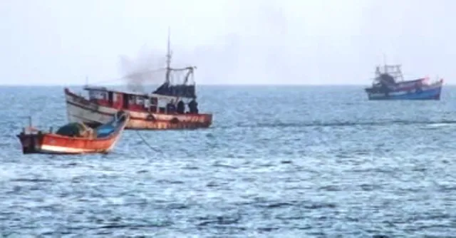 ବ୍ରହ୍ମଗିରି : ଅଲିଭ୍‌ ରିଡ୍‌ଲେଙ୍କ ପାଇଁ ଘାତକ ସାଜିଛି ଟ୍ରଲର୍‌