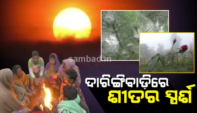 ଓଡ଼ିଶାର କଶ୍ମୀର ଦାରିଙ୍ଗିବାଡ଼ିରେ ପଡ଼ିଲାଣି ଥଣ୍ଡା, ମନ ମୋହୁଛି ଶୀତୁଆ ସକାଳର ସୁନେଲି ସୂର୍ଯ୍ୟୋଦୟ