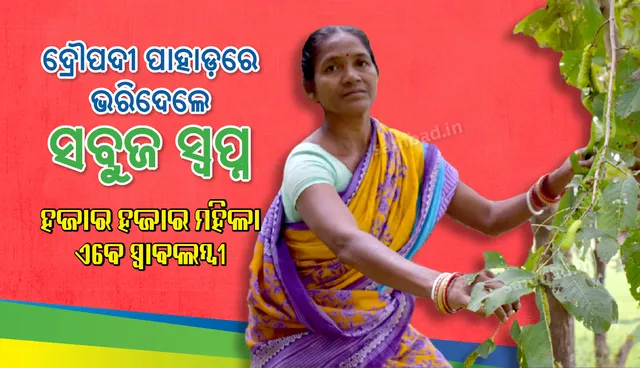 ପ୍ରେରଣାର ଉତ୍ସ ପାଲଟିଛନ୍ତି ଦ୍ରୌପଦୀ : ପାହାଡରେ ଭରିଦେଲେ ସବୁଜ ସ୍ବପ୍ନ