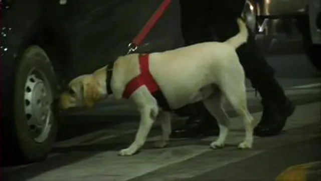 ଦିଲ୍ଲୀ ବିମାନ ବନ୍ଦରରୁ ସନ୍ଦିଗ୍ଧ ବ୍ୟାଗ୍‌ ମିଳିବା ପରେ କଠୋର ହେଲା ନିରାପତ୍ତା ବ୍ୟବସ୍ଥା