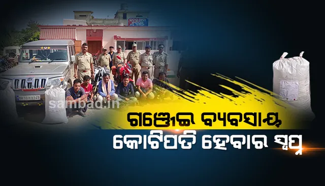 ୨ କୋଟି ଟଙ୍କାର ଗଞ୍ଜେଇ ସହ ୨ଟି ଗାଡ଼ି ଓ ୮ଟି ମୋବାଇଲ ଜବତ, ୮ ଅଭିଯୁକ୍ତ ଗିରଫ 