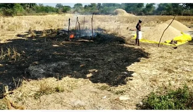 ଧାନ ଖଳାରେ ନିଆଁ ଲାଗି ୩ ଶିଶୁ ଜୀବନ୍ତ ଦଗ୍ଧ, ଅକାଳରେ ଚାଲିଗଲା ତିନି ଭଉଣୀଙ୍କ ଜୀବନ