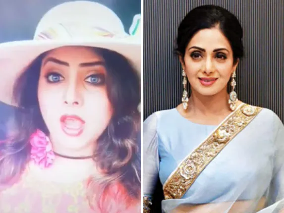 ଟିକ୍‌ଟକ୍‌ରେ ଛାଇଲା ଶ୍ରୀଦେବୀଙ୍କ ହମ୍‌ସକଲ୍‌ର ଭିଡିଓ, ଅନ୍ଦାଜ ଦେଖି ଆବାକ୍‌ ହେଲେ ଚାନ୍ଦିନୀଙ୍କ ପ୍ରଶଂସକ