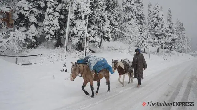କଶ୍ମୀର‌ରେ ପ୍ରବଳ ବରଫପାତ: ୪ ମୃତ, ବିମାନ ବାତିଲ